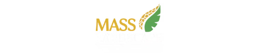 Mass Landscape Masonry Corp