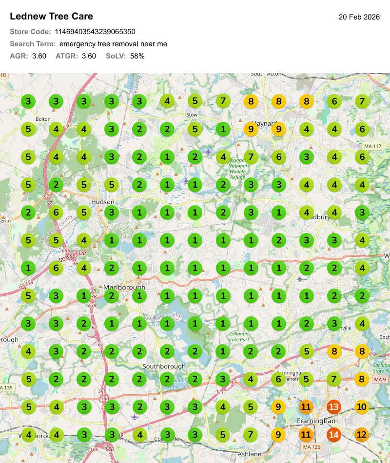 LedNew Tree Care Google Maps rankings for emergency tree removal near me in Massachusetts